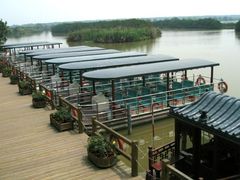 景点-大湾区中央湿地公园