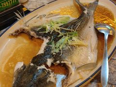 -食德喜·阳山鸡王食研基地
