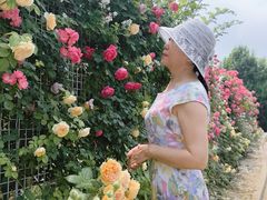 -太阳宫公园