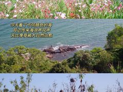-玫瑰海岸文化旅游度假区