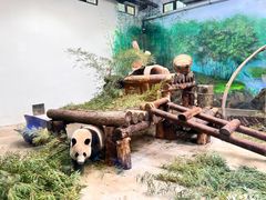 -杭州动物园