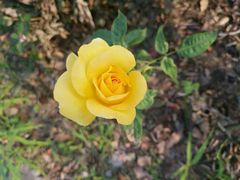 -安庆师范大学(龙山校区)