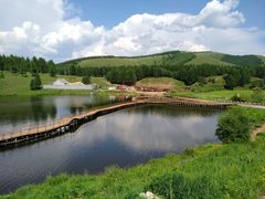 -塞罕坝国家级自然保护区