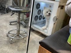 -PETKIT小佩宠物(昭化店)