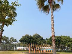-音乐广场