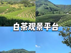 -阿露佳·舌尖上的安吉菜