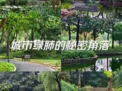 -和平公园