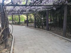 -红螺寺