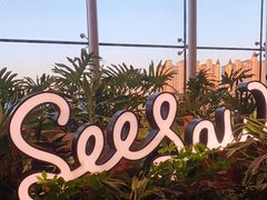 -Seesaw Coffee(朝阳大悦城店)