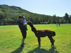 -大连铭湖国际观光牧场
