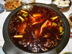 -费明中罗非鱼(大石坝店)