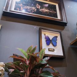 -HGS TATTOO 花果山刺青