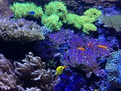 android_upload_pic-西雅图水族馆