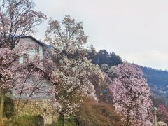 -九皇山景区