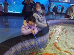 -烟台海昌鲸鲨海洋公园