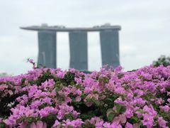 -鱼尾狮公园