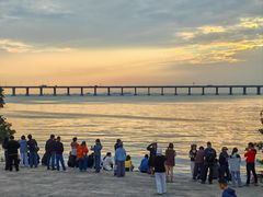 -宝安西湾红树林湿地公园