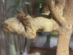 -砂之船奥特莱斯(合肥店)
