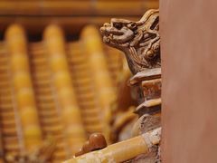 -故宫博物院(故宫)