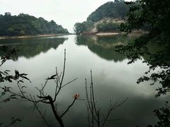 -广州市石门国家森林公园