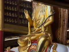 -峨眉山报国寺