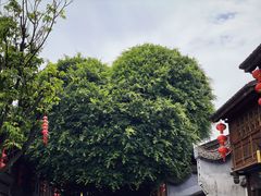 -三坊七巷历史文化街区