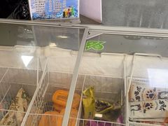 -鸡鸣汤包(红山动物园店)