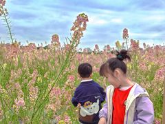 -三圣花乡旅游区