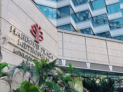 -香港都会海逸酒店