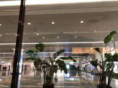 -肯德基(正定机场安检内店)