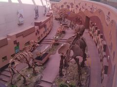 -陕西自然博物馆