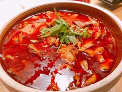 砂锅牛杂-永安鱼庄·镇江菜(丁卯店)