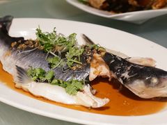 清蒸巴丁鱼-无招牌海鲜餐厅(怡丰城店)