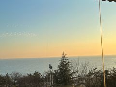 -青岛海景花园大酒店