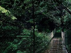 -洨河生态公园