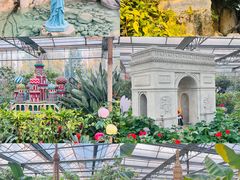 -南宫五洲植物乐园