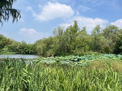 -西溪国家湿地公园