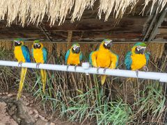 -西霞口神雕山野生动物世界
