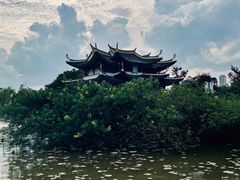 -江心屿景区