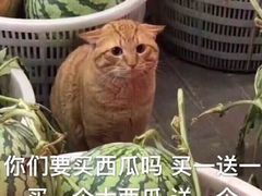 -三河胡氏农家(青阳路店)