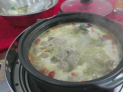 -花苑美食横琴生蚝火锅(拱北粤华路店)