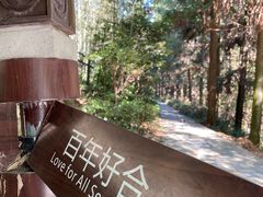 -潜山国家森林公园