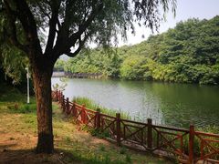 -白马涧龙池景区