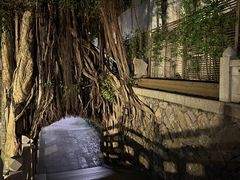 -乌山风景区