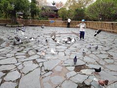 -厦门园林博览苑