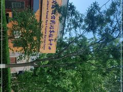 -永定河休闲森林公园