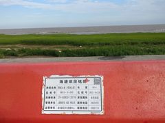 -南汇嘴观海公园