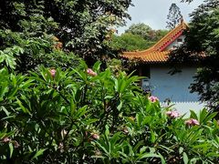 -南宁良凤江国家森林公园