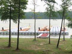 -上海海湾国家森林公园