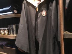 -哈利波特魔法世界